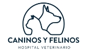 CaninosFelinos