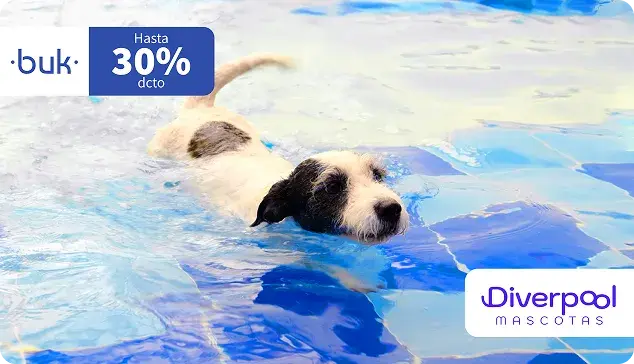 DiverPoolMascotas