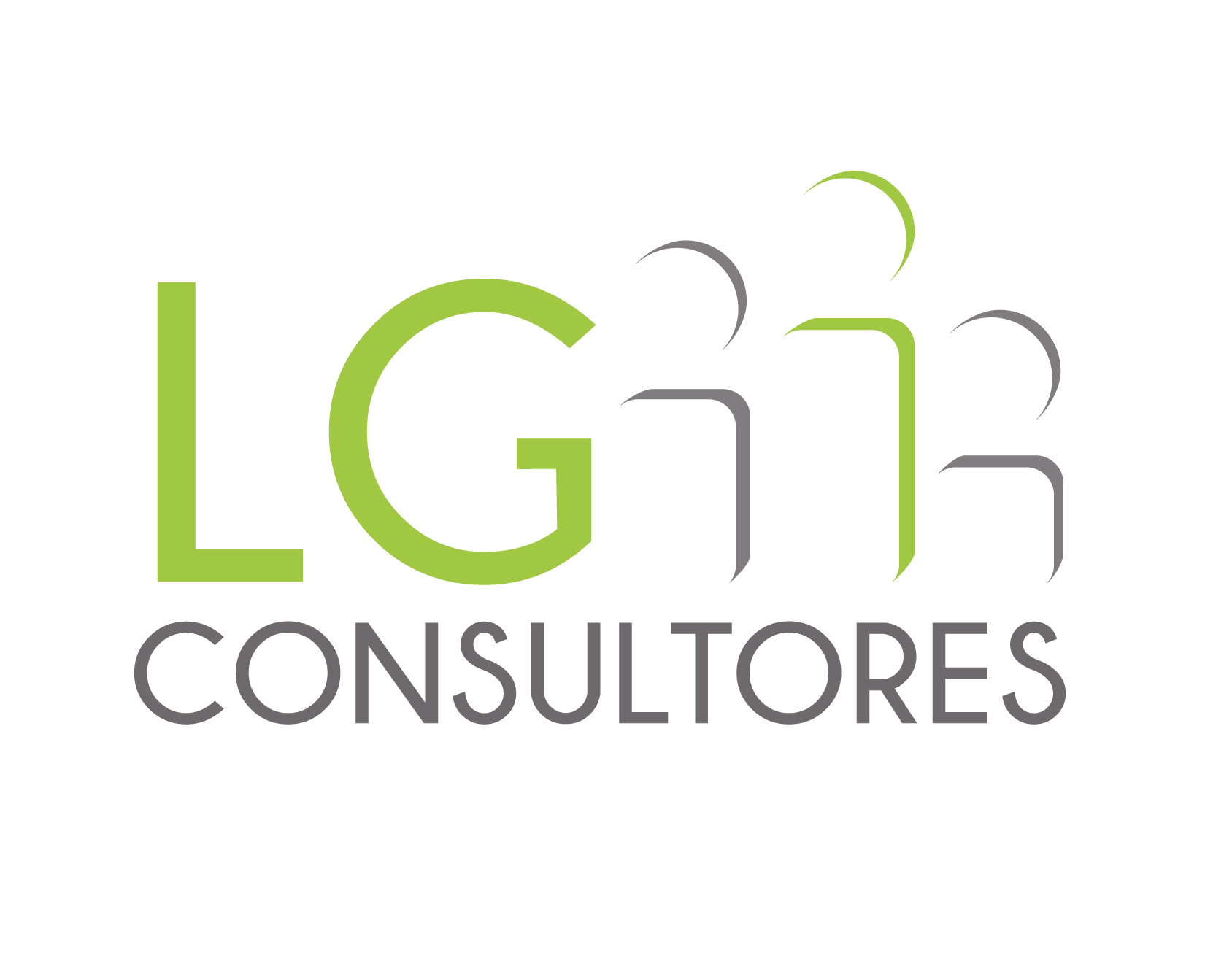 LG CONSULTORES