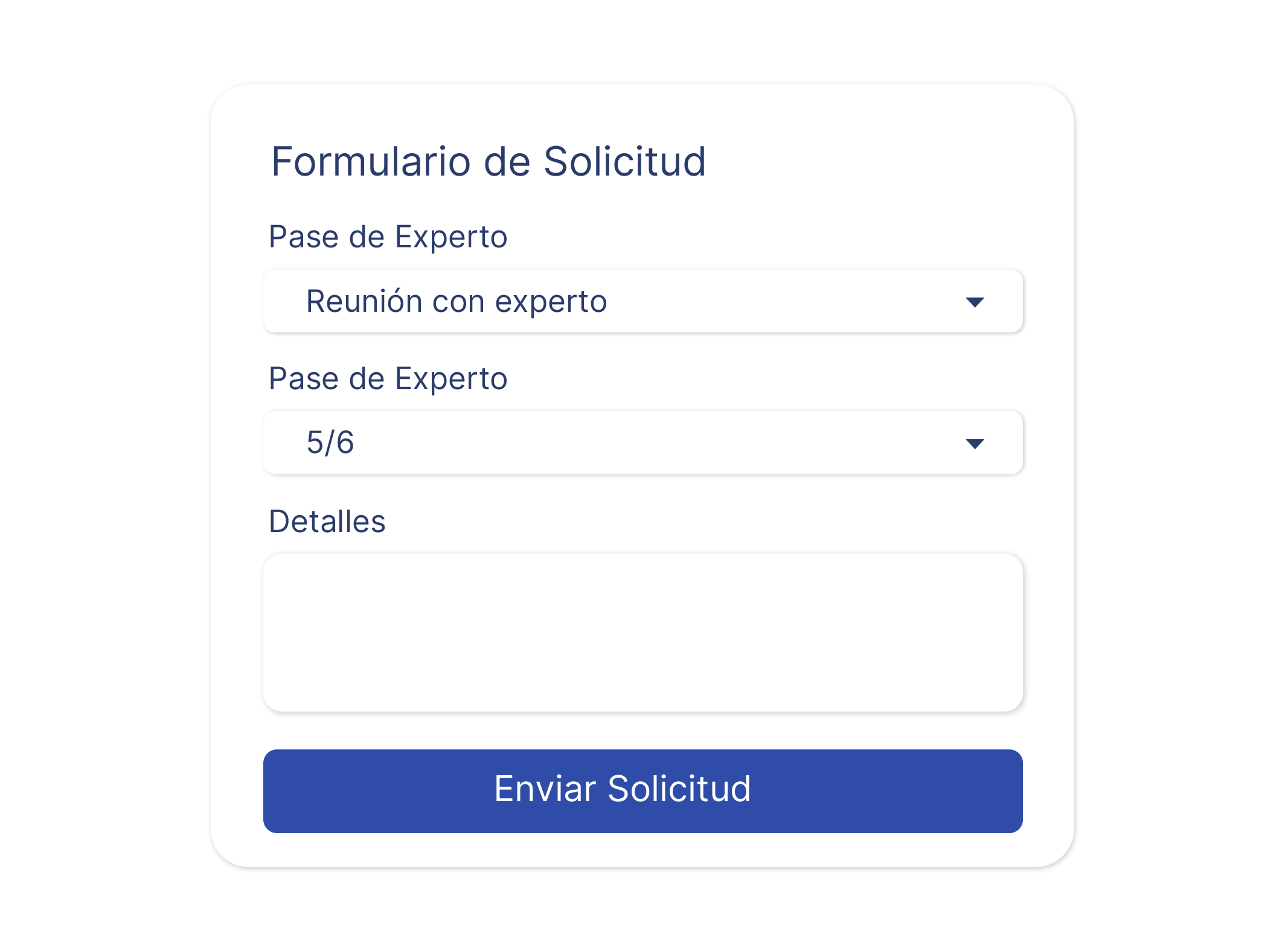apoyo experto